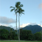 Kauai3